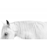 Samantha Carter - White on White
