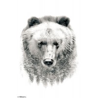 Spirit Animals & Trees - Bear