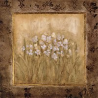 Mindeli Narcissus - Classic Flowers