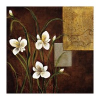 Teo Vineli - Orchid Melody I