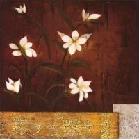 Teo Vineli - Orchid Melody II