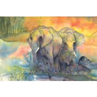 Chris Paschke - Elephants Crop