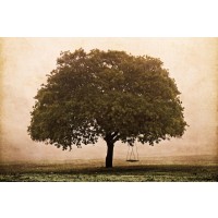 Debra Van Swearingen - The Hopeful Oak