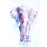Aimee Del Valle - An Elephant Never Forgets