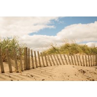Pela Studio - Beach Dunes I