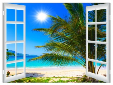 Beach Palm Tree Window