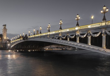 Tim Arrisson - Alexander III Bridge, France  