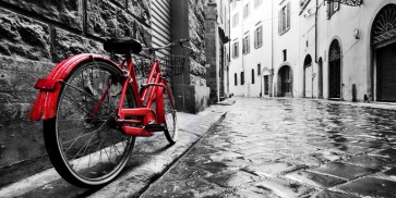 Doris Berry - Red Vintage Bike on Cobblestone