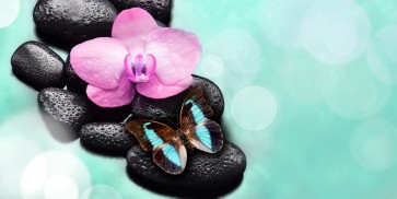 Omar Olavi - Orchid and Butterfly  