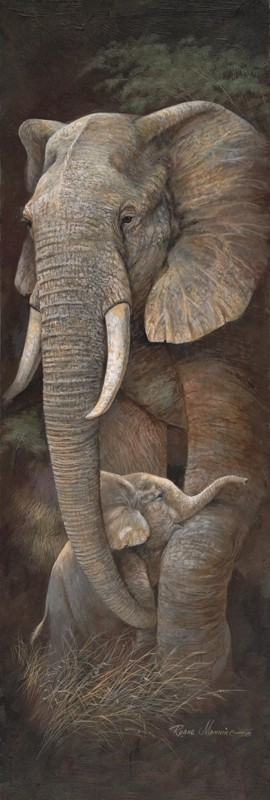 Ruane Manning - Elephant - Protective Care