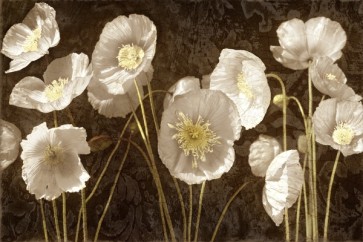 Ives Mccoll - Baroque Poppies  