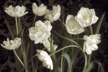 Donna Geissler - Bountiful Tulips  