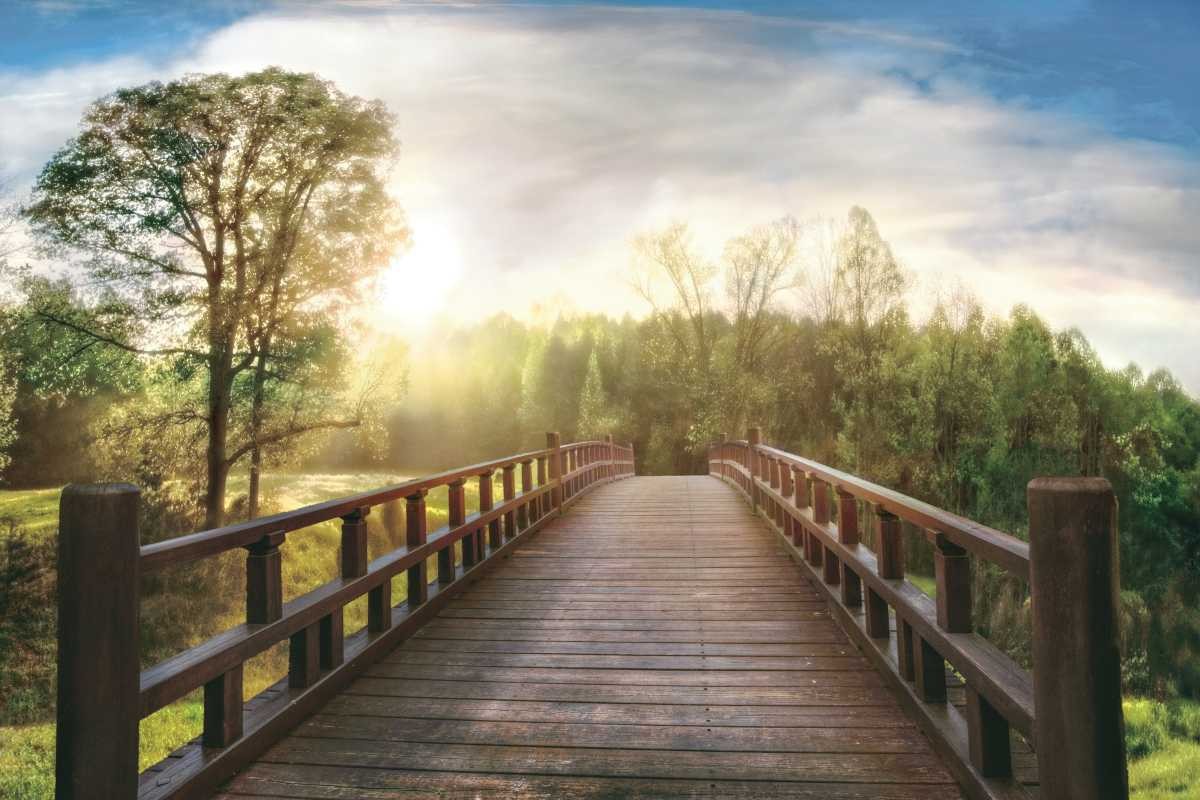 Celebrate Life Gallery - Dreams