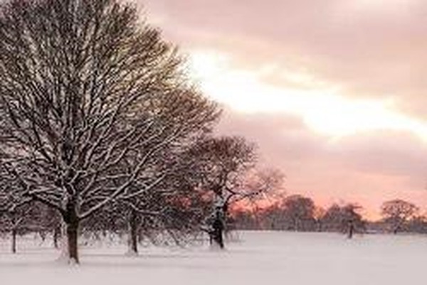 Assaf Frank - Rosy Sunset 