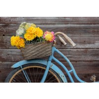 Bicycle - Flower Morning