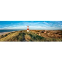 Finch Love - Lighthouse Next To Celtic Farm