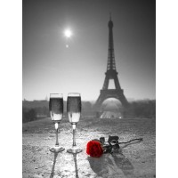 Assaf Frank - Champagne glasses with red rose next to the Eiffel tower