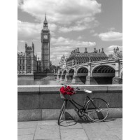 Assaf Frank - Bunch of Roses on a bicycle agaisnt Westminster Abby, London, UK