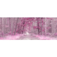 Assaf Frank - Pathway through Autumn forest, FTBR 1843