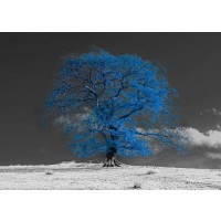 Assaf Frank - Tree on a hill-blue