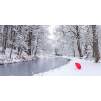 Assaf Frank - Umbrella by a snowy canal