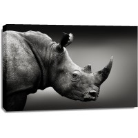 Rhinoceros - I Can See You