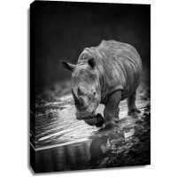 Rhinoceros - On My Way