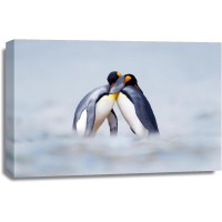 Penguin - Love