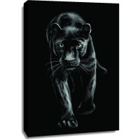 Panther - Black Cat Cub