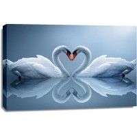 Swan - Heart Shape Love