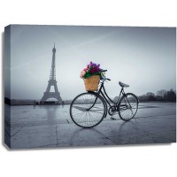 Assaf Frank - Bicycle with a basket of flowers next to the Eiffel tower, Paris, France