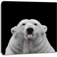 Lars Van de Goor - Polar Bear - Nothing Personal