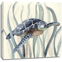 Nan - Turtle in Seagrass II