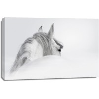 PhotoINC Studio - White Horse