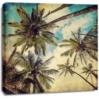 Melanie Alexandra Price - Kauai Island Palms