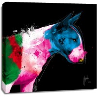 Patrice Murciano - Animals - Dog - Bull