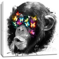 Patrice Murciano - Animals - Chimp - Can't See