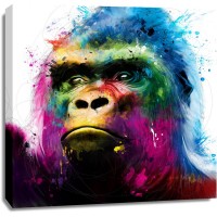 Patrice Murciano - Animals - Gorilla