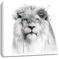 Patrice Murciano - Animals White - Lion