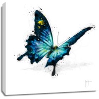 Patrice Murciano - Animals - Butterfly - Papillon