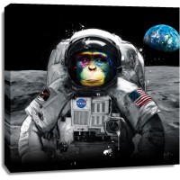 Patrice Murciano - Animals in Uniforms - Chimp - Apollo 11