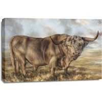 Dina Perejogina - Highland Brown Bull 