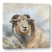 Dina Perejogina - Herdwick Sheep