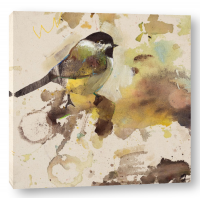 Daniel St Amant - Yellow Wooland Bird 