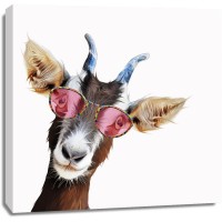 Kim Curinga - Goofy GoatÂ 
