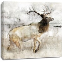 Stellar Design Studio - Mountain Elk I