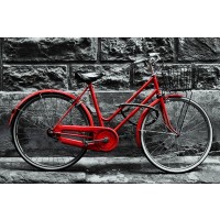 Karija Mile - Retro Vintage Red Bike  