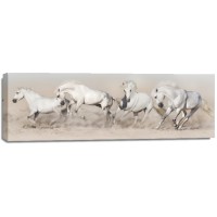 Jocelyn Borivoj - Horse - White Herd Run In Desert  
