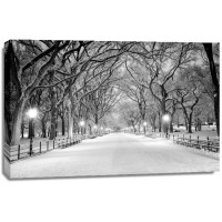 Jameela Danai - Central Park, NY Covered In Snow  