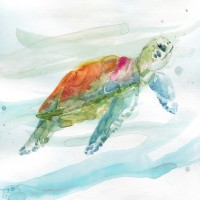 Carol Robinson - Turtle Tropics I